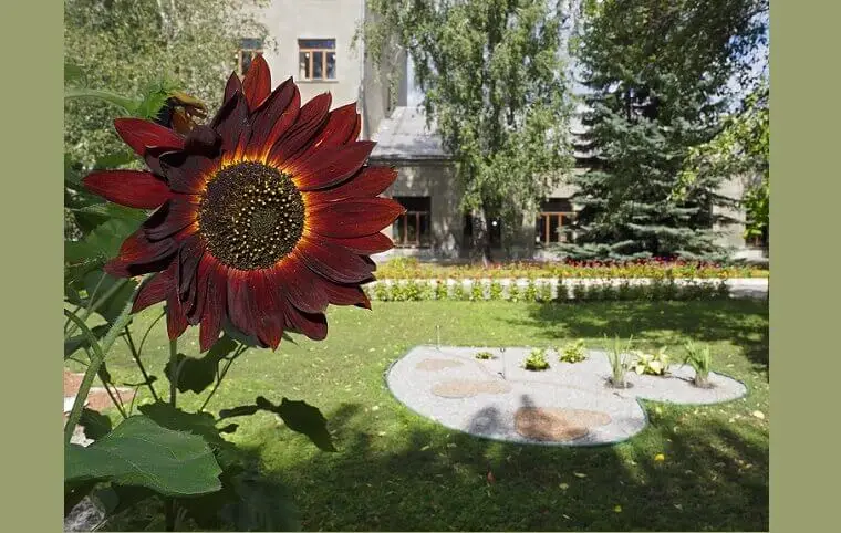 Доброго ранку! Доброго ранку!