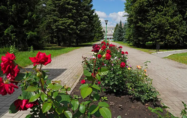 Доброго ранку! Доброго ранку!