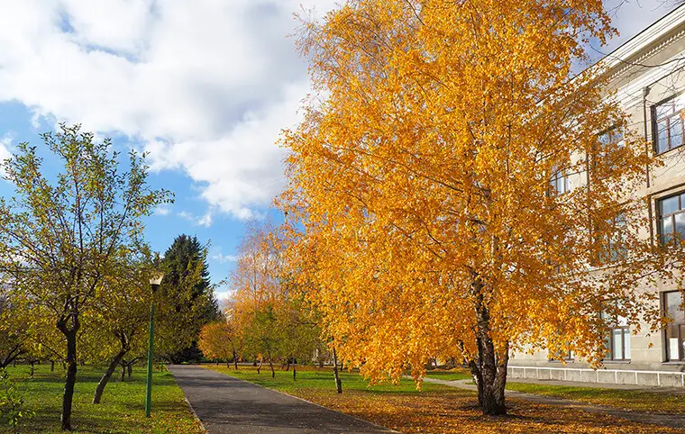 Доброго ранку Доброго ранку