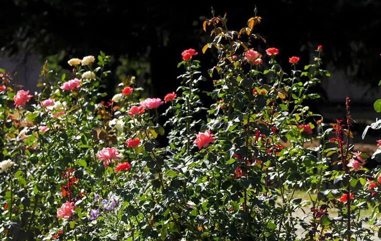 П'ятниця. Вечір. 940-й день повномасштабної навали П'ятниця. Вечір. 940-й день повномасштабної навали