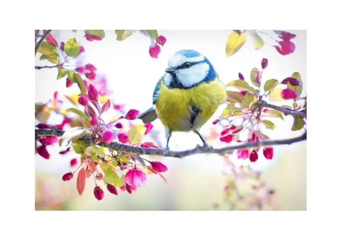 Як проходив святковий концерт «У пошуках весни» Як проходив святковий концерт «У пошуках весни»