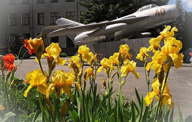 Доброго ранку! Доброго ранку!