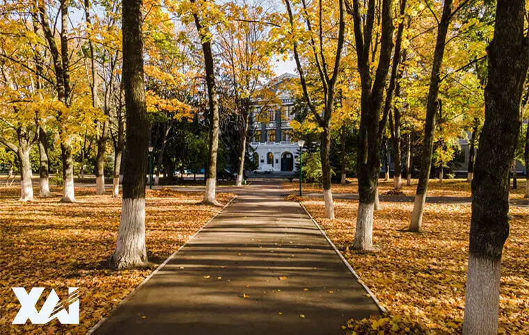 Бажаємо всім доброго ранку! Бажаємо всім доброго ранку!