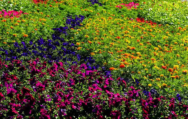 Підготовка до осінньо-зимового періоду Підготовка до осінньо-зимового періоду