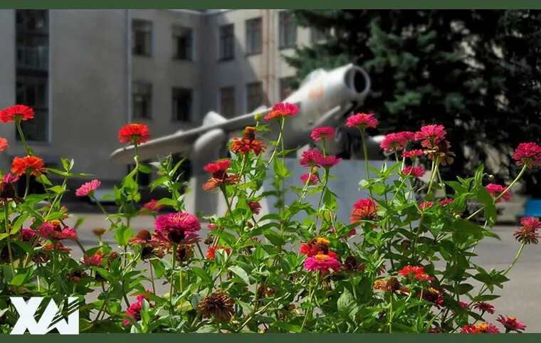 Гарного дня і мирного неба! Гарного дня і мирного неба!