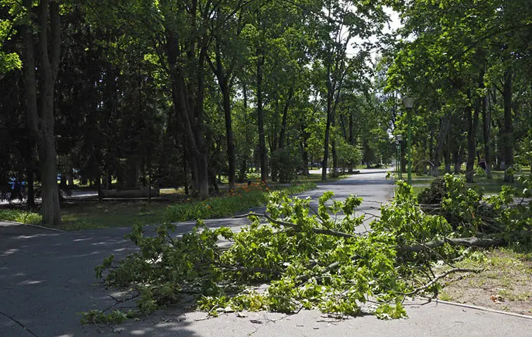 Наслідки буревія Наслідки буревія