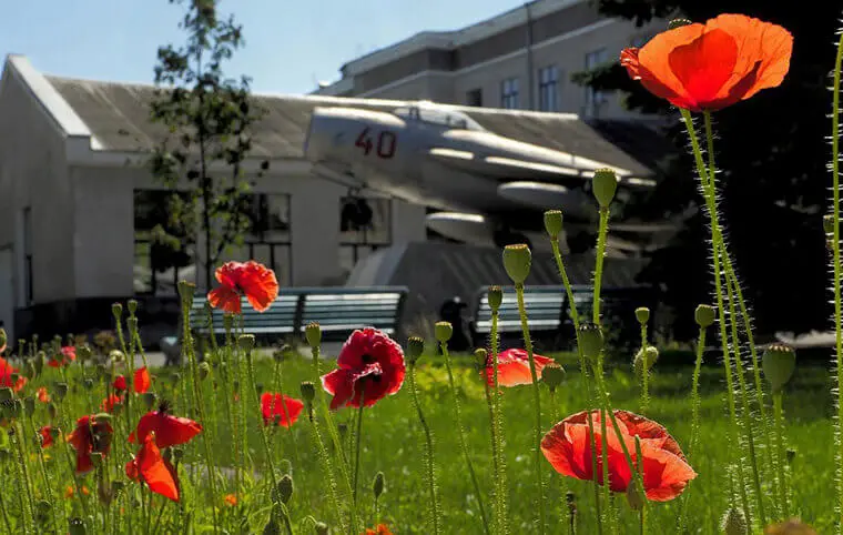 День пам’яті та примирення День пам’яті та примирення