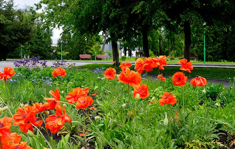 Доброго ранку! Доброго ранку!