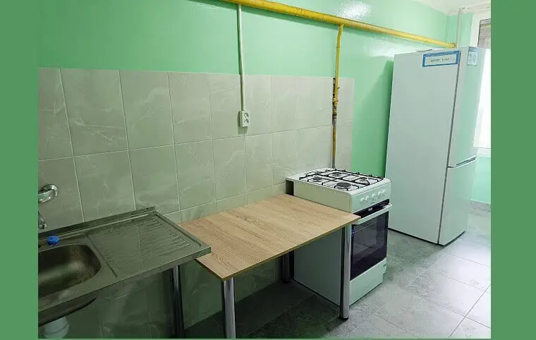 Допомога від волонтерів ГО «Проліска» Допомога від волонтерів ГО «Проліска»