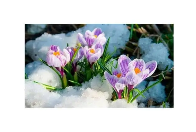 Концерт «У пошуках весни» Концерт «У пошуках весни»