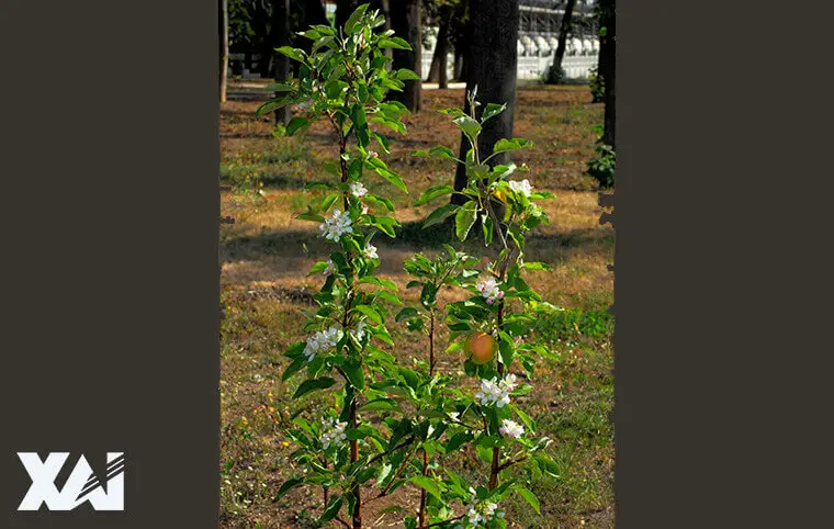 Доброї, тихої суботи, друзі! Доброї, тихої суботи, друзі!