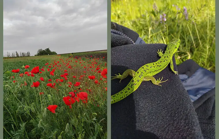 Перший загальноукраїнський БІОБЛІЦ Перший загальноукраїнський БІОБЛІЦ