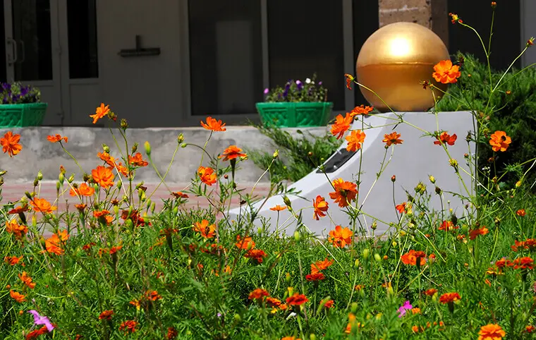 Доброго ранку! Доброго ранку!