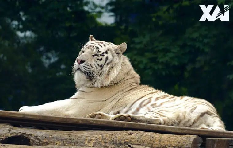 Закінчується останній тиждень вересня... Закінчується останній тиждень вересня...