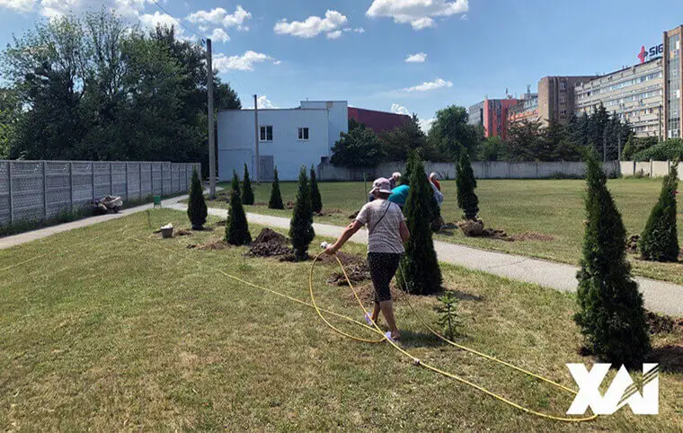 Висадка дерев територією ХАІ Висадка дерев територією ХАІ