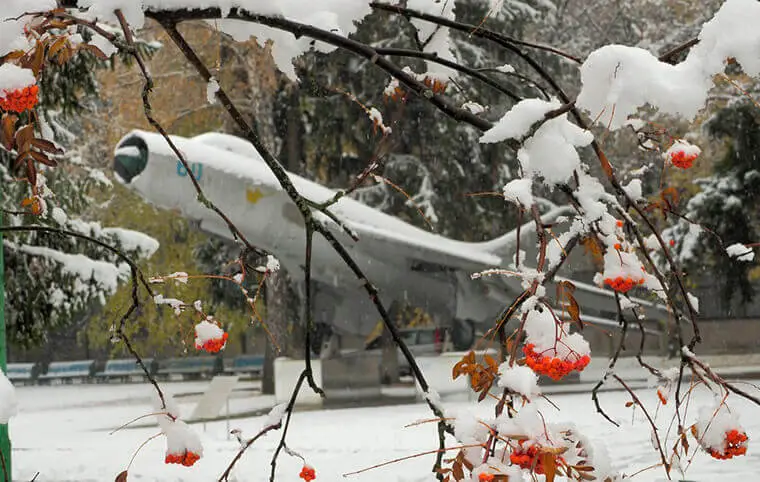 Перший сніг Перший сніг