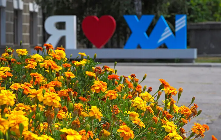 Доброго ранку! Доброго ранку!