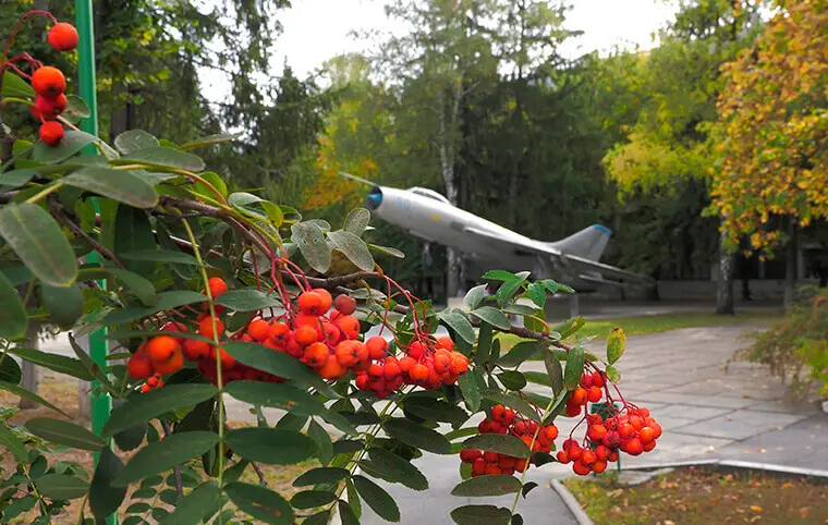 Доброго ранку! Доброго ранку!