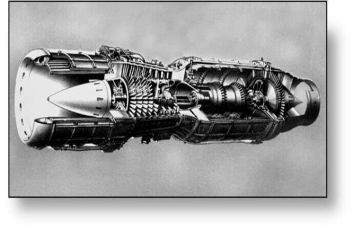 History of the University